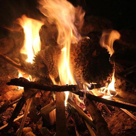 Big Mang Den Homestay Kon Von Kla Kültér fotó